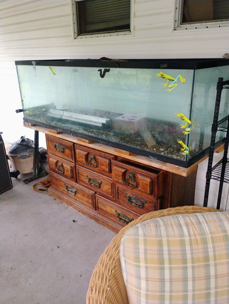 Free 125 Gallon Reptile Tank 
