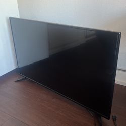 Insignia Flatscreen TV
