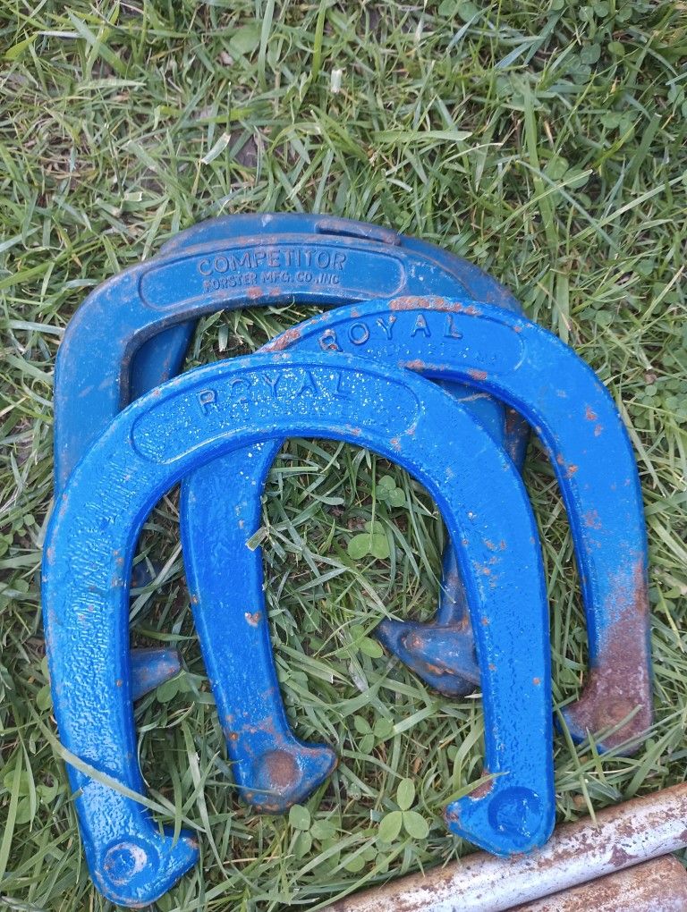 Vintage Sturdy Royal Horseshoes Set