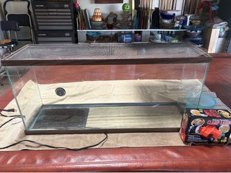 40 Gallon Reptile Tank