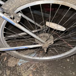 Bicycle only has a bad back tire
