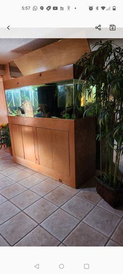 Magnificent fish tank 180 gallons with all the works