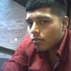 ovidio
