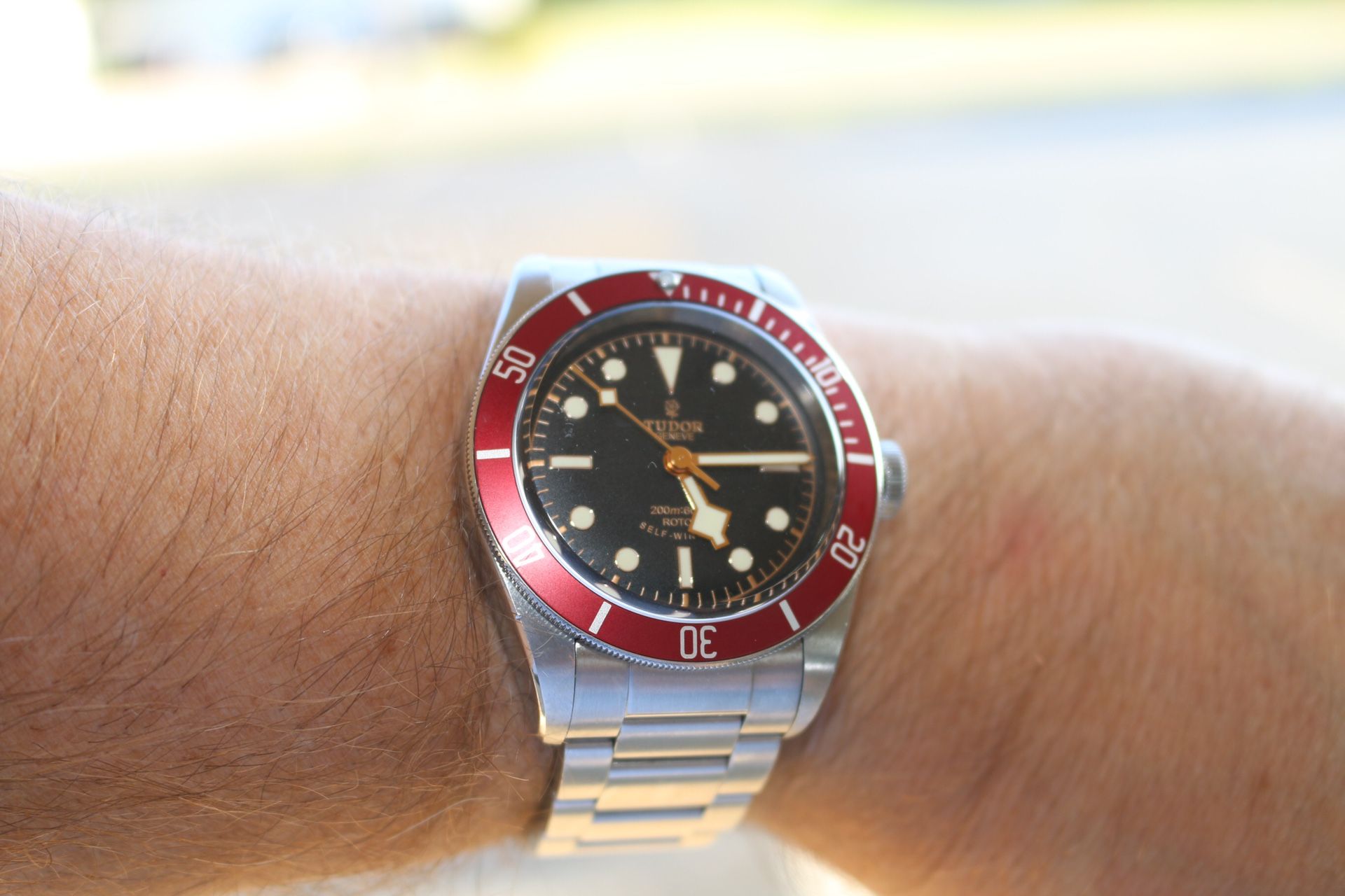 Tudor black bay red