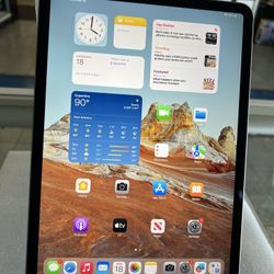 iPad Pro 11” 4th Gen 128GB LTE