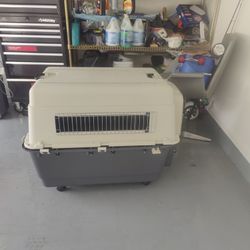 Dog Kennel