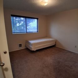 Twin Mattress, Box Spring And Metal Bed Frame