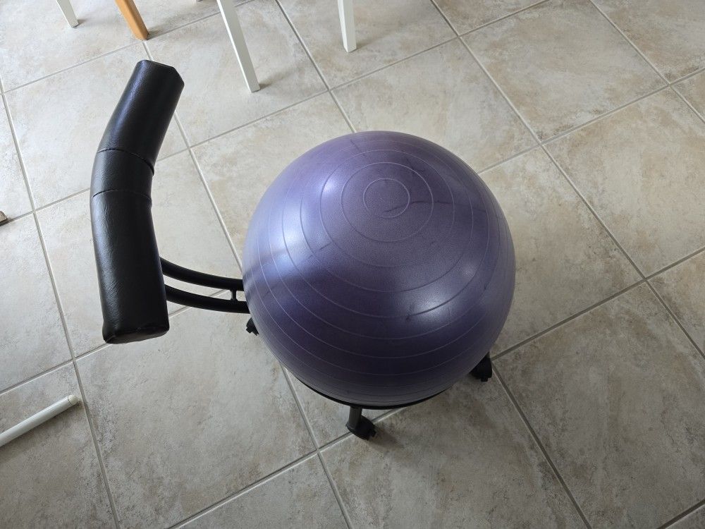 Balance Ball Chair