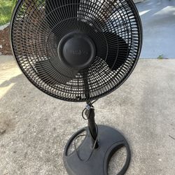 Stand Up Fan