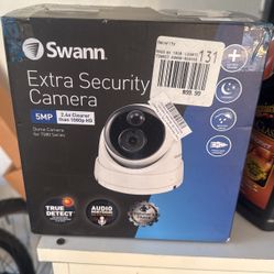 Security Camera Swan 