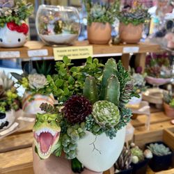 T-Rex Succulent Design 