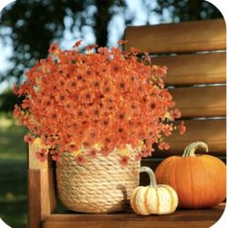 24 Bundke Fall Flowers.  New In Box. 