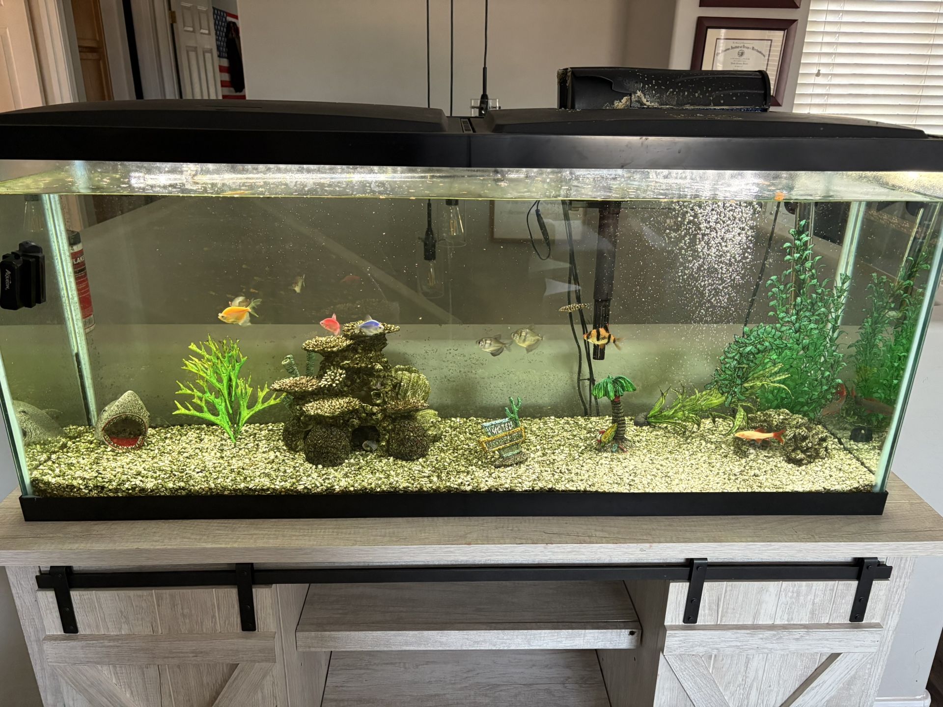 55 Gal Fish Aquarium