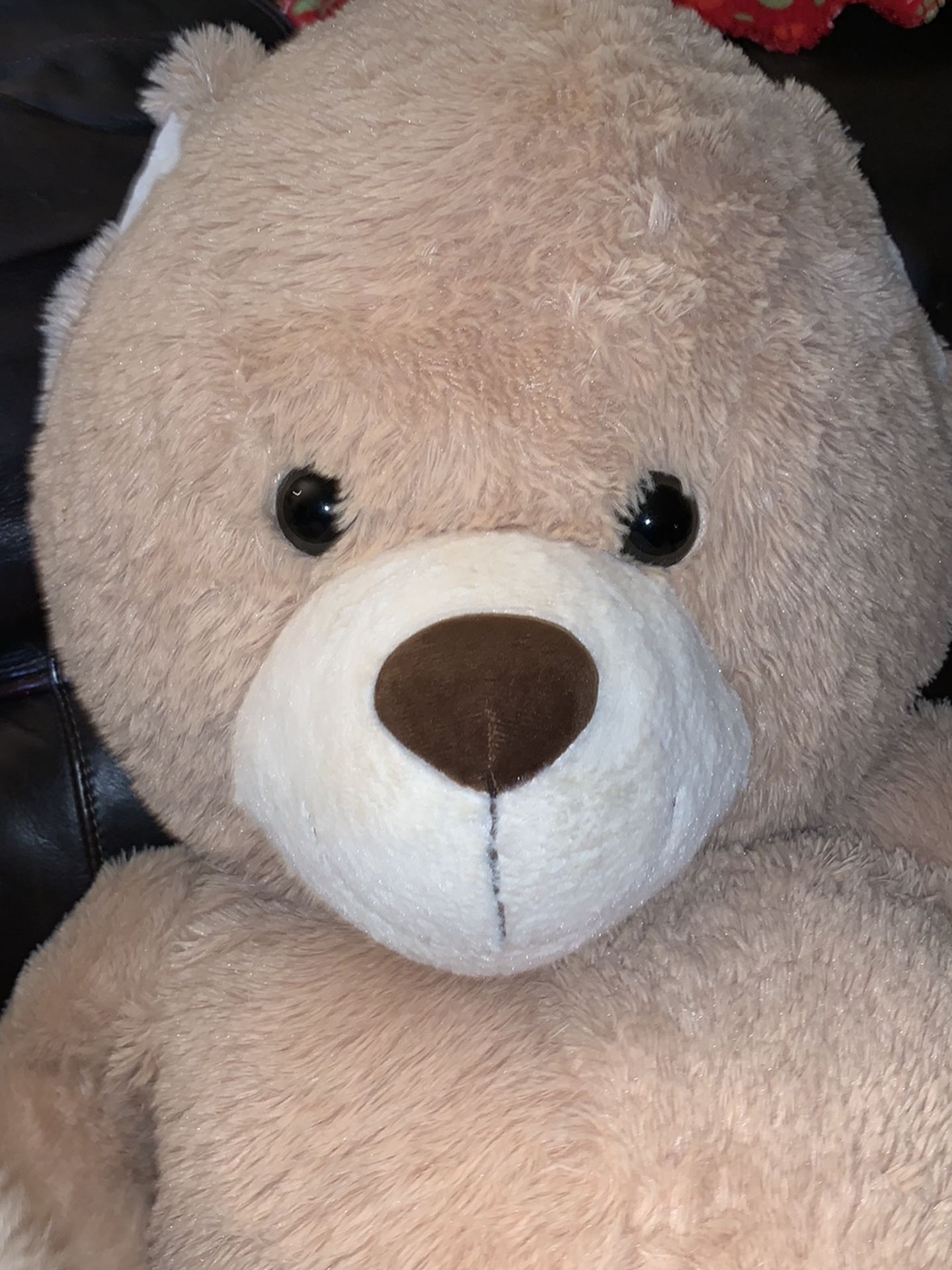 Adorable Large Teddy Bear