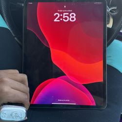 iPad PRO 12.9 (4th Generation)