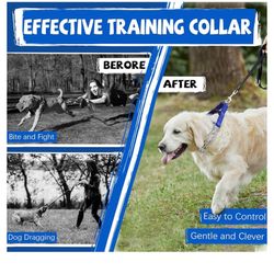 Dog Training Collar, No Pull Adjustable 
