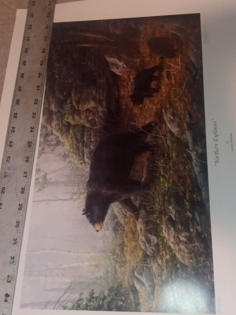 northern explorers print