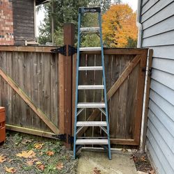 8’ Ladder