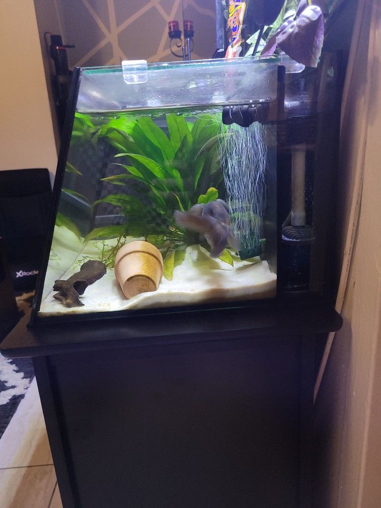 7 gallon Lifeguard AQUATIC FULL VIEW AQUARIUM WITH OVERFLOW BUILT IN