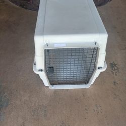 Kennel 