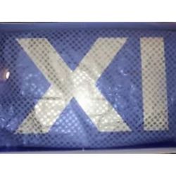 Jordan 11 Legend Blue Size 10.5 