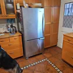 Awesome Whirpool Fridge Stainless Steel