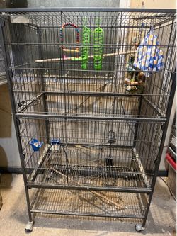 Bird Cage