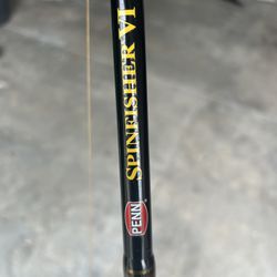 PENN Spinfisher VI Live Liner 6500 Boat Spinning Rod and Reel Combo for  Sale in Port St. Lucie, FL - OfferUp