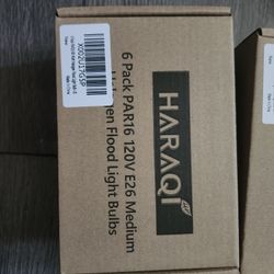 6 Pack 120v E26 Medium Halogen Flood Light Bulbs