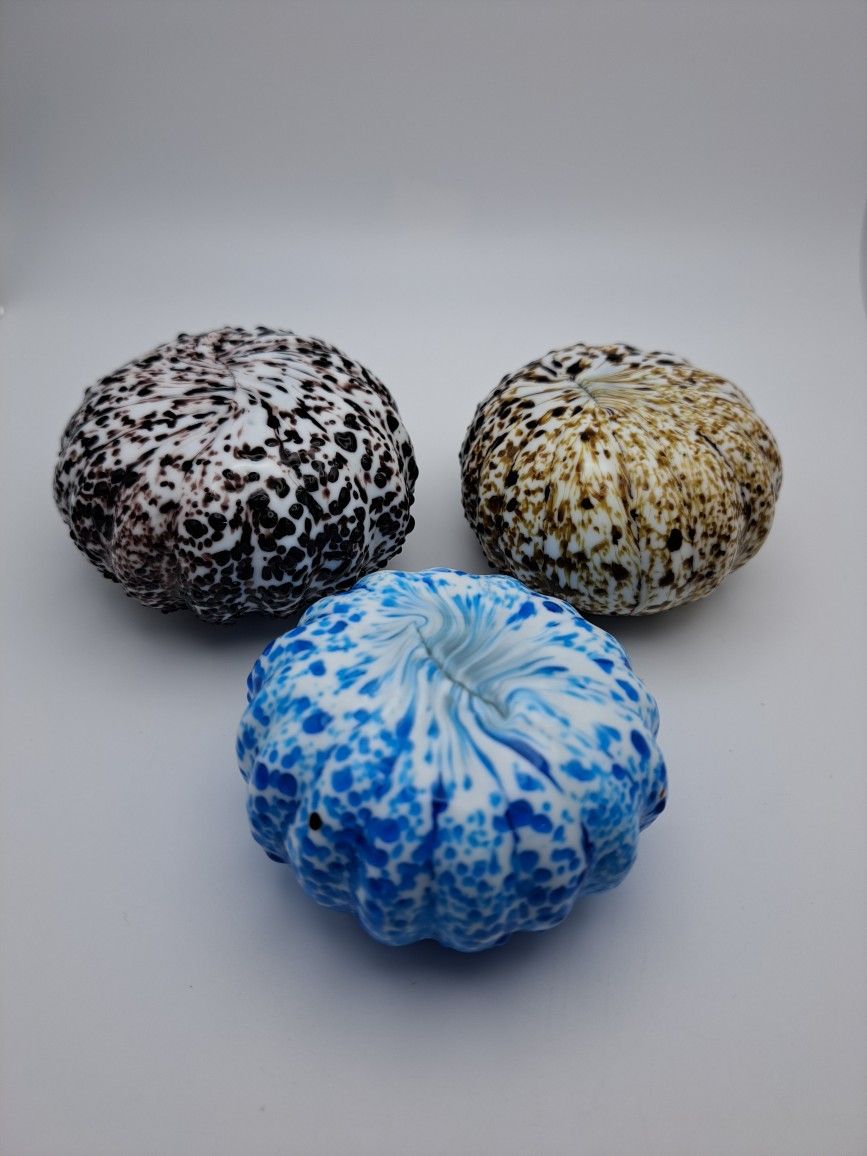 Glass Sea Urchins