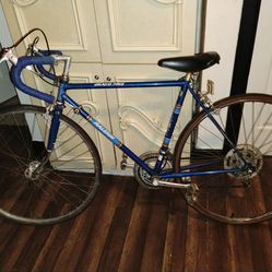Selling a 10 speed RALEIGH Grand Prix for $175 or best offer