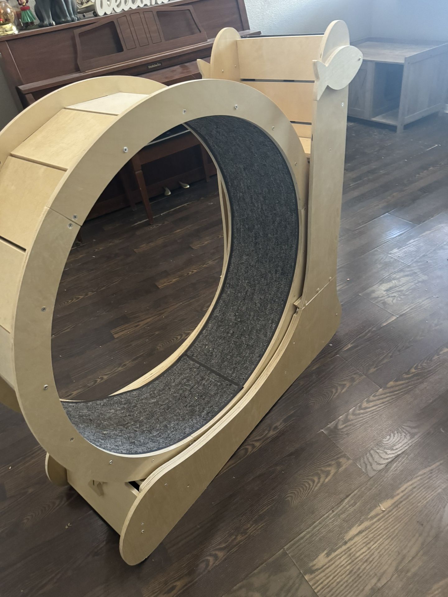 Cat Wheel For Exercise