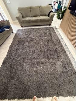 Rug 10x8 ft rug $30
