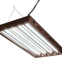 One T5 Grow Lights. 