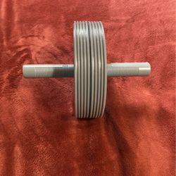 Ab Roller & Push-Up Bars