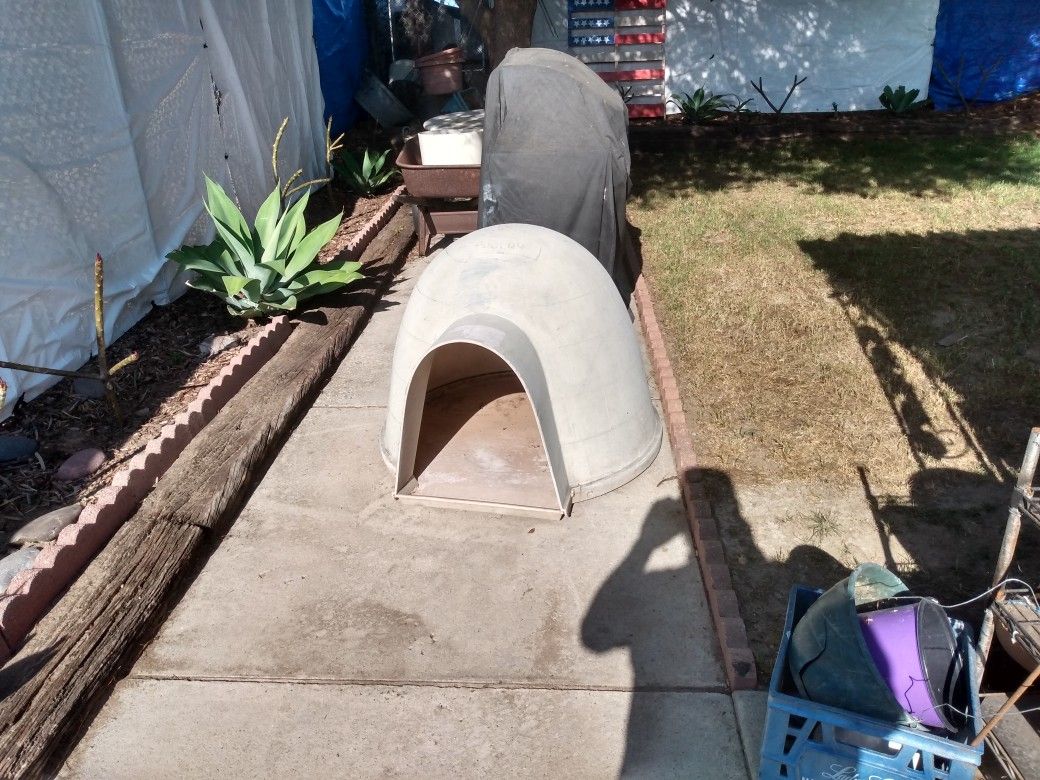 Dog Houses