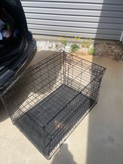 Dog Crate