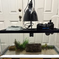 Bearded Dragon Starter Kit Plus Humidifier 