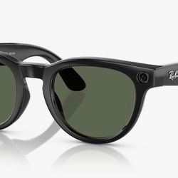 Ray Bands Black Meta