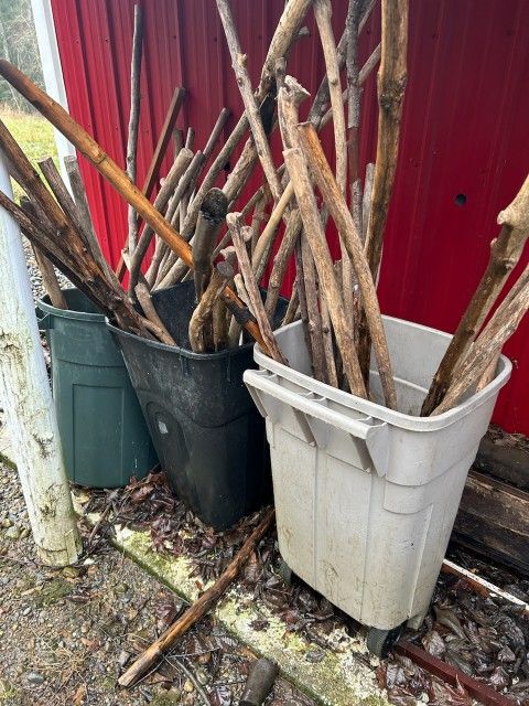 Walking Sticks