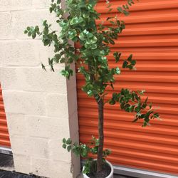 Faux Plant For $45 Delivery Is Included In The Price 