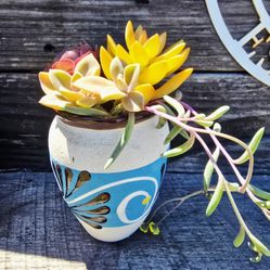 Succulents In Painted Jarrito