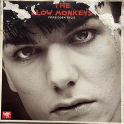 The Blow Monkeys- Forbidden Fruit 