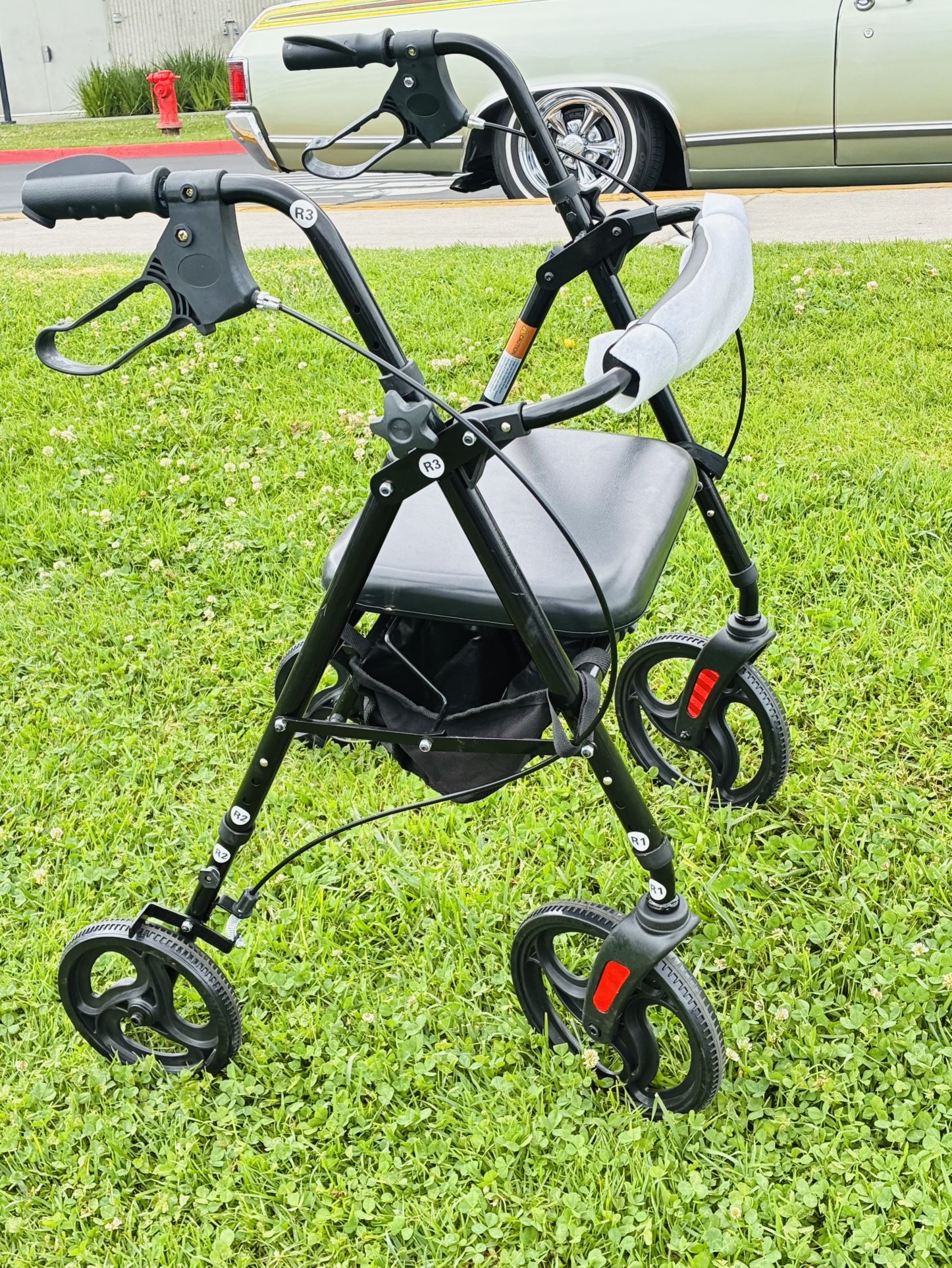Adult Walker