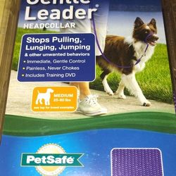 Gentle Leader Dog Leash