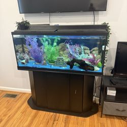 55 Gallon Aquarium & Black Wooden Stand. Accessories Included