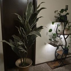 Pier 1 Artificial Potted Plant