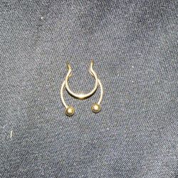 Fake Nose Ring 