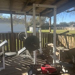 Wieder PRO 4900 Adjustable Power Rack White with Bench Barbell Plates