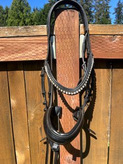 Dressage Bridle Cob Size